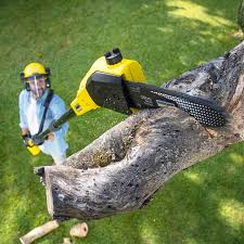 Best Organic Lawn Care Solutions  in Tuskegee, AL