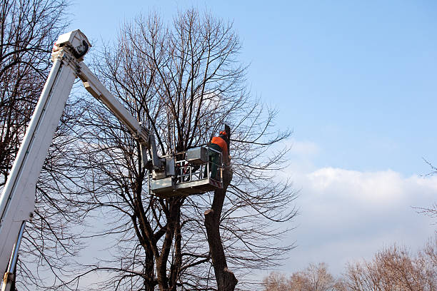  Tuskegee, AL Tree Services Pros